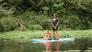 Woman paddleboarding with a young girl on the front of the board among green spaces. Digital membership.