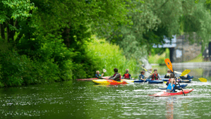 Group of pladders on the water