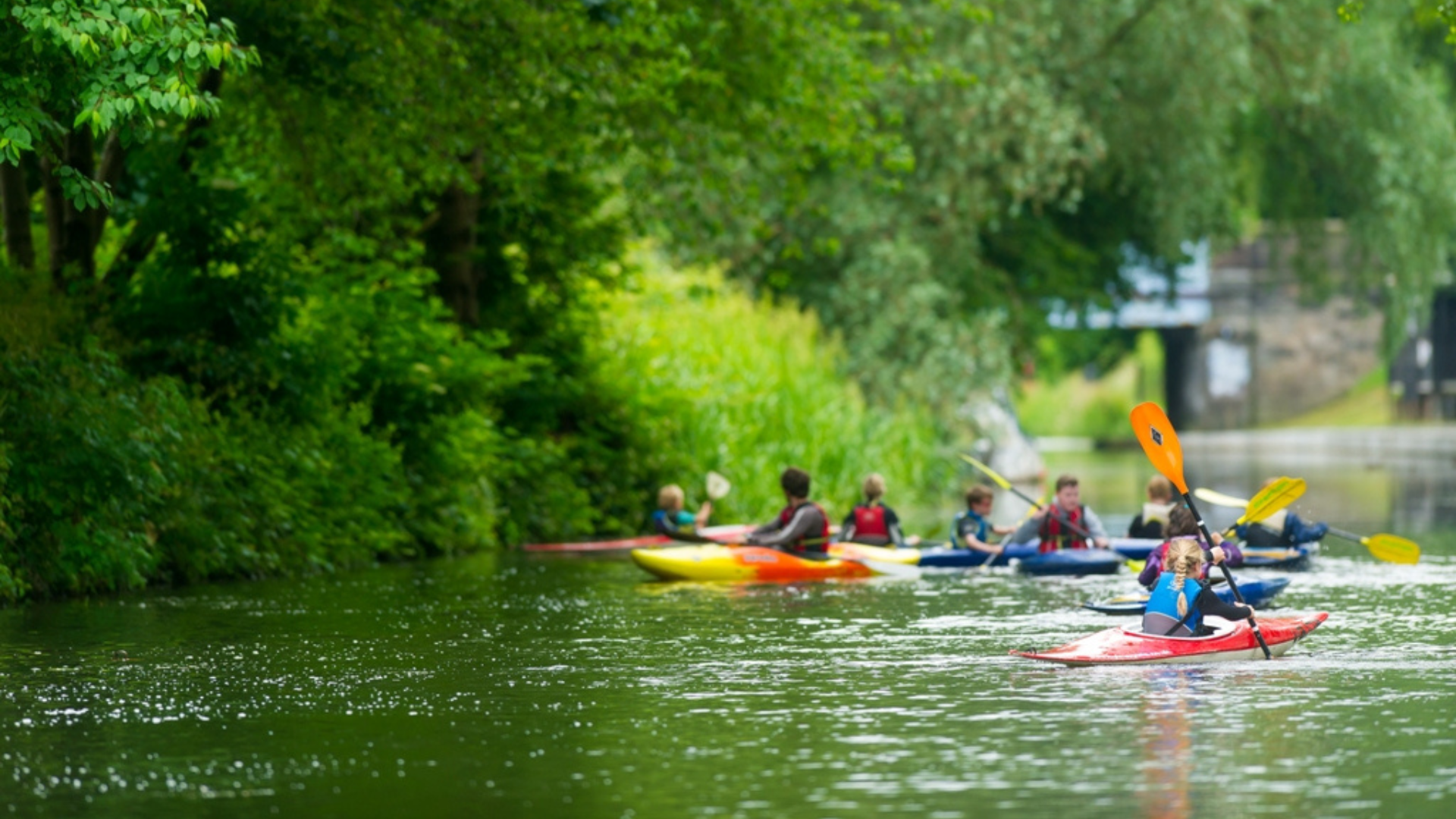 Group of pladders on the water