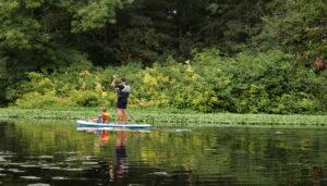 Man and boy paddleboarding. Used on advisory committees page.