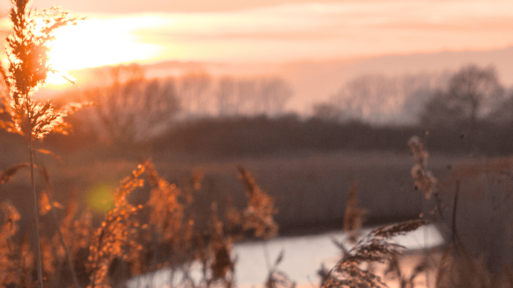 River Stour at sunset