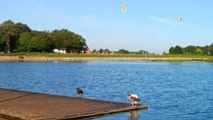 The lake at HPP. Used in the Careers Centre