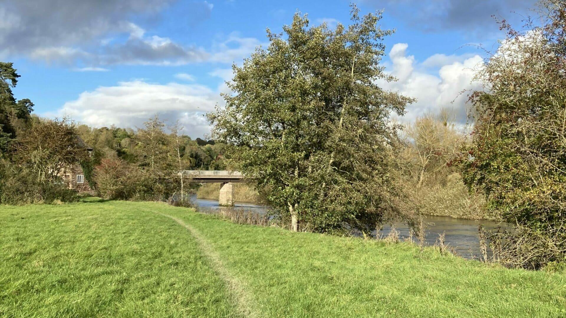 Hoarwithy land near the River Wye
