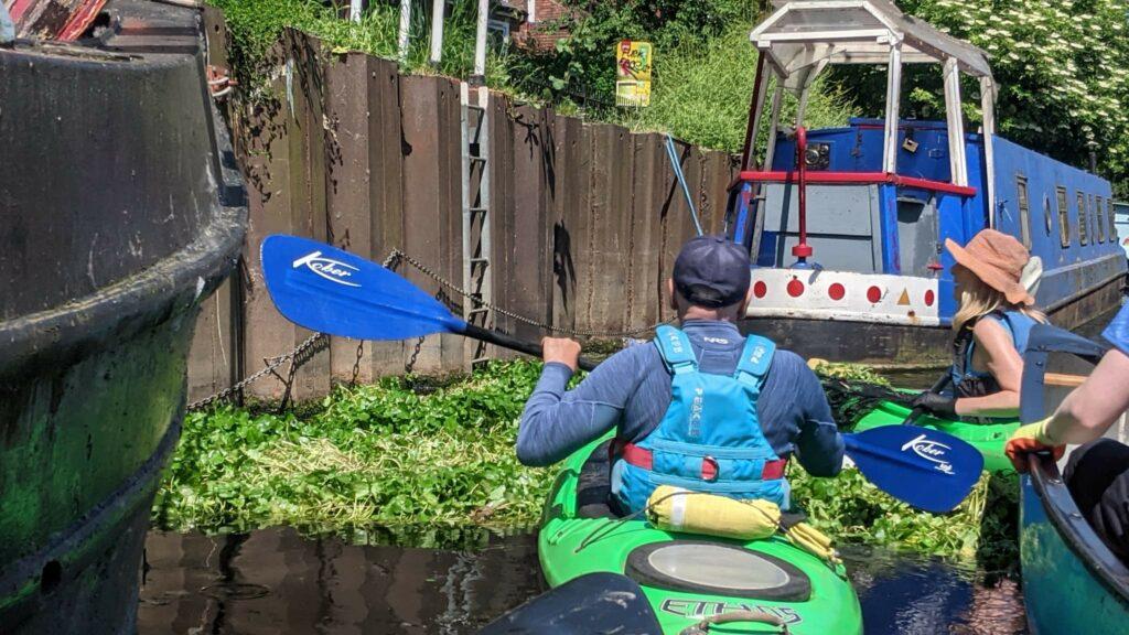 Two paddlers at Stonebridge Lock removing pennywort