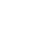 PaddleBot Whiteout Logo