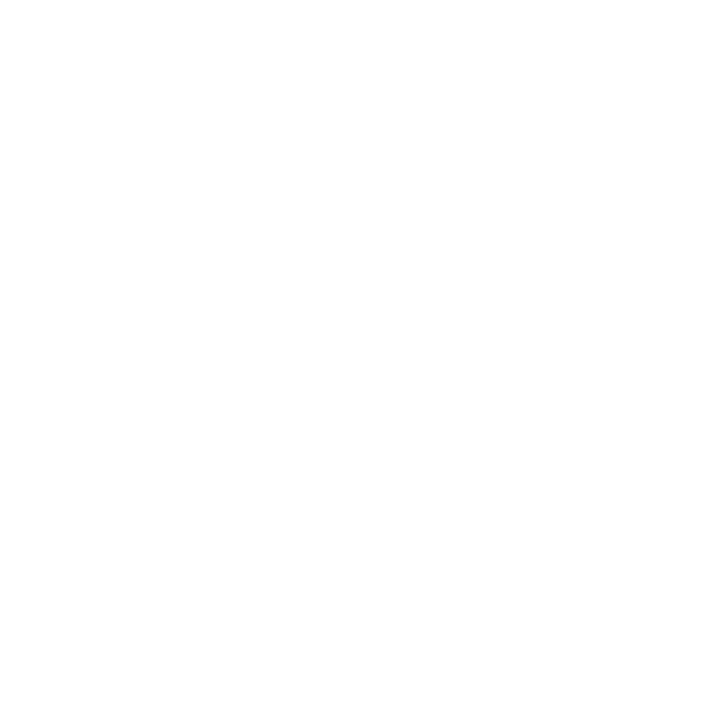 PaddleBot Whiteout Logo