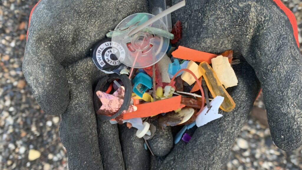 Pieces of plastic found by a river