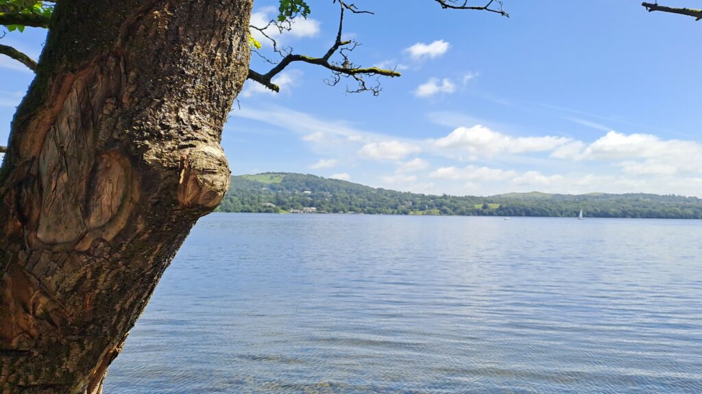 View of Windermere from the start point