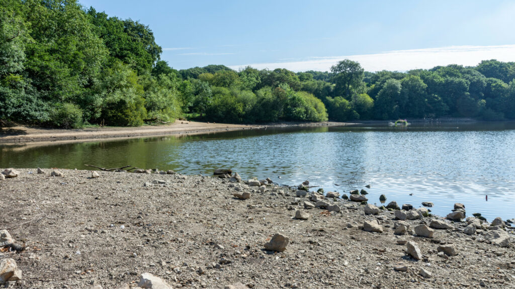 Drought affected water body