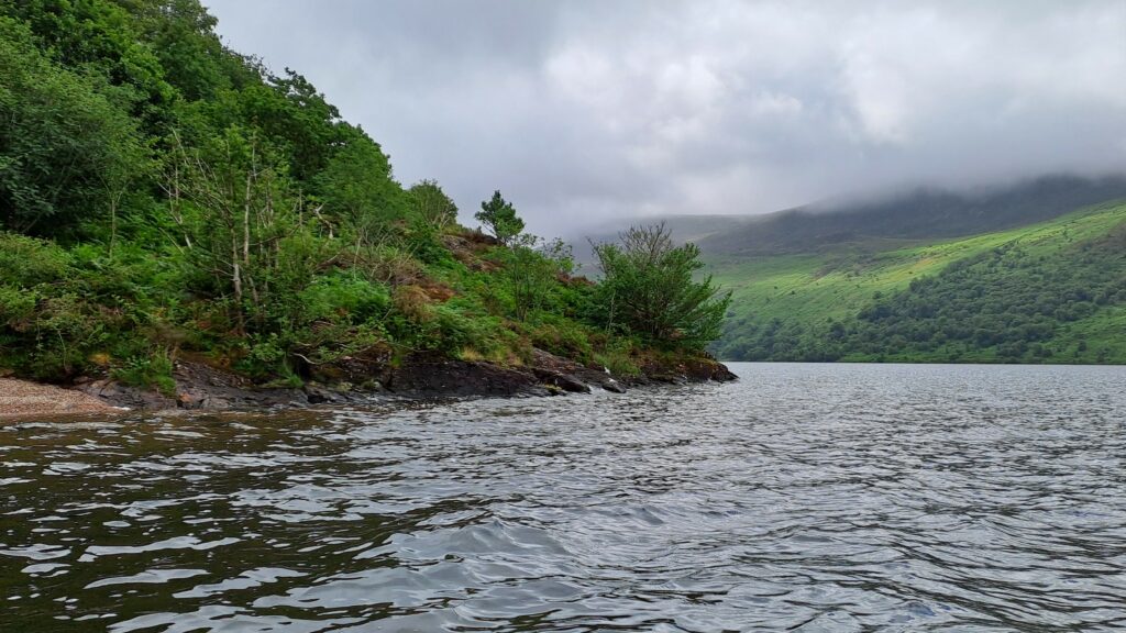 Wild Ennerdale