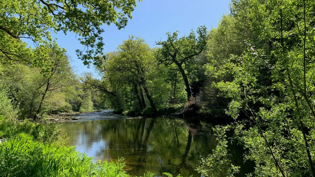 Land around the River Dart