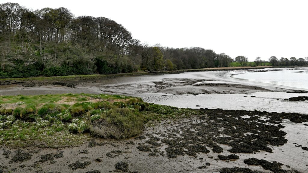 River Cleddau