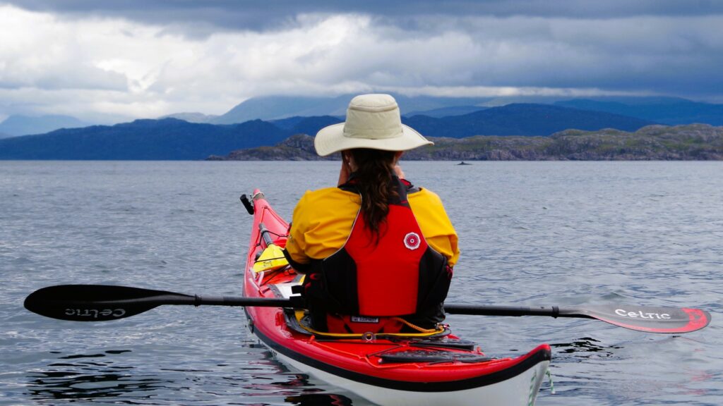 Sea kayaker watching a minke whale