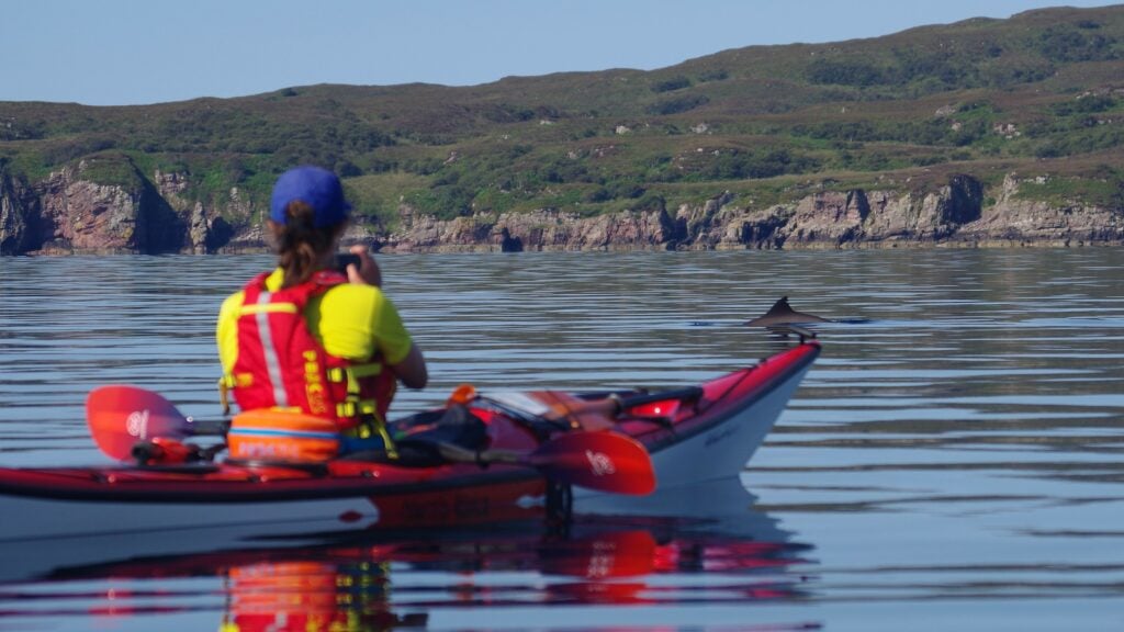 Kayaker takes a picture of a porpoise near Skye