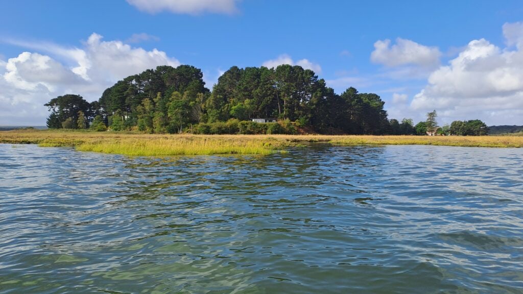 Arne peninsula