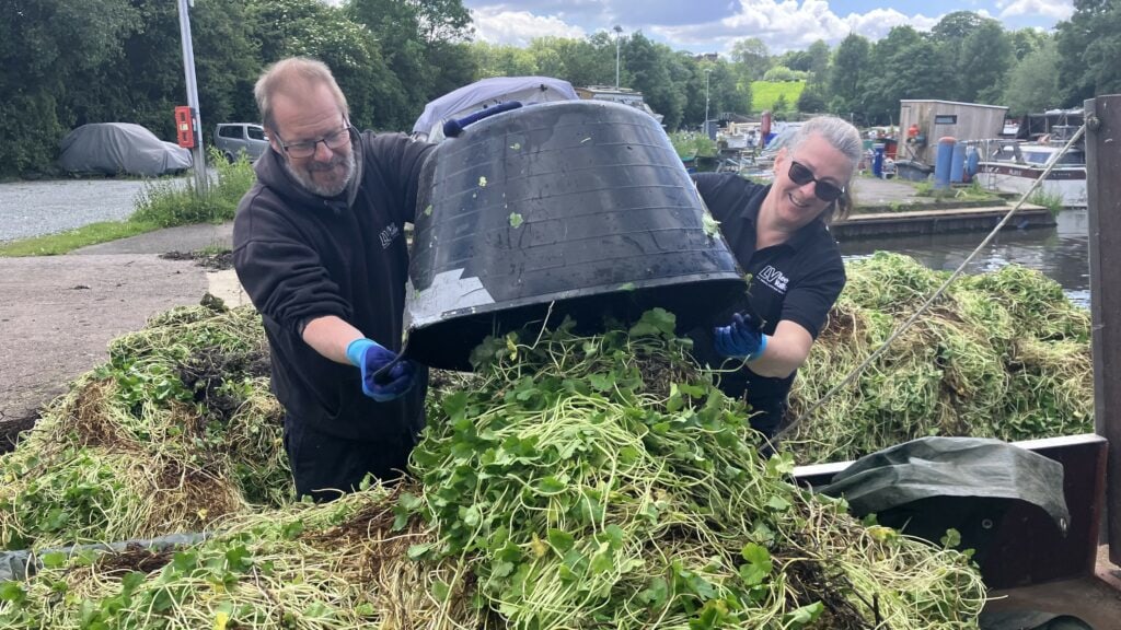 Pennywort being cleared from a marina